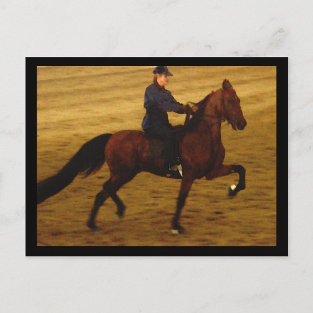 Carte postale américaine Saddlebred (Devant)