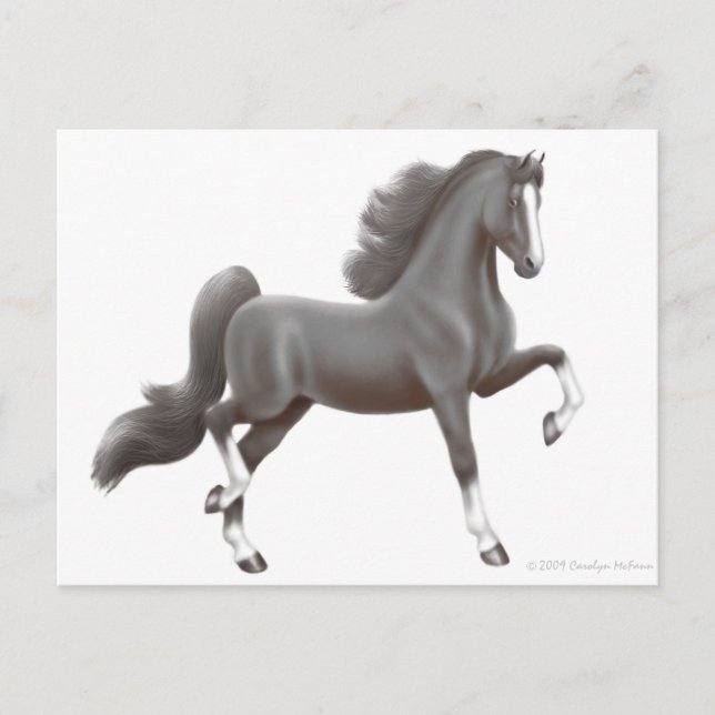 Carte postale américaine Saddlebred Horse (Devant)