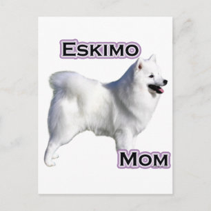 Carte Postale American Eskimo Chien Maman 4