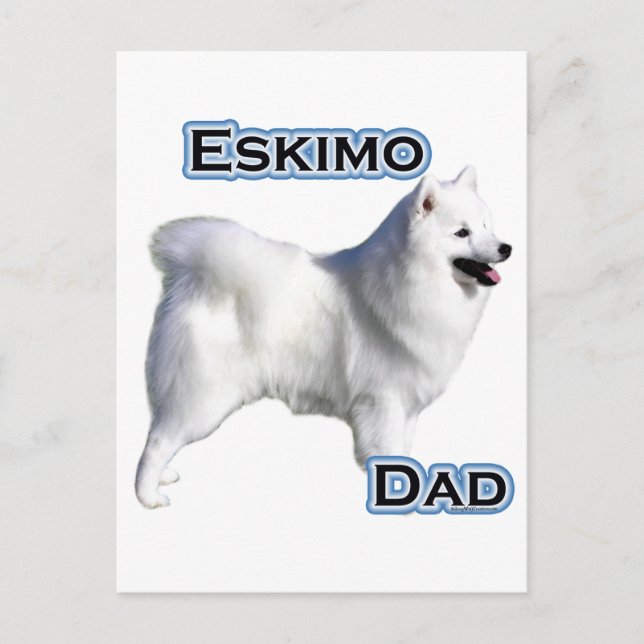 Carte Postale American Eskimo Chien Papa 4 (Devant)