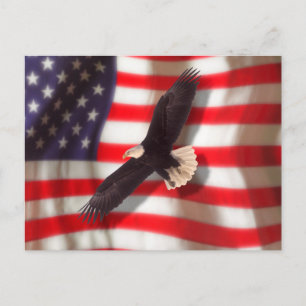Carte postale American Flag & Eagle