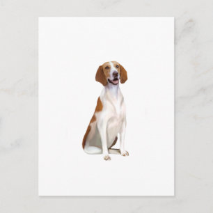 Carte Postale American Foxhound (A)