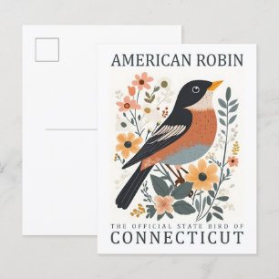 Carte Postale American Robin Bird of Connecticut USA Travel