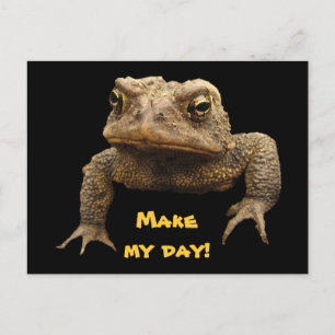 Carte Postale American Toad