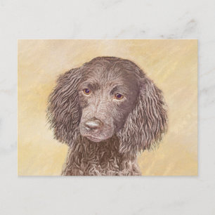 Carte Postale American Water Spaniel Peinture - Original Dog Art