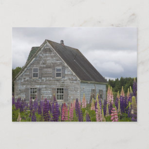 Carte Postale Amérique du Nord, Canada, Île-du-Prince-Édouard