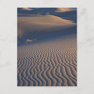 Carte Postale Amérique du Nord, États-Unis, Californie, Vallée d