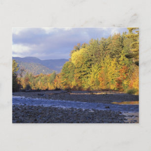 Carte Postale Amérique du Nord, États-Unis, NH, rivière Saco. Ga