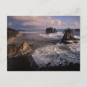 Carte Postale Amérique du Nord, États-Unis, Washington, Pôle oly