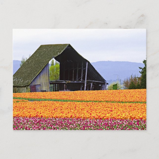 Carte Postale Amérique du Nord, États-Unis, Washington, vallée d (Devant)
