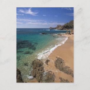 Carte Postale Amérique du Nord, Mexique, Baja California Sur,