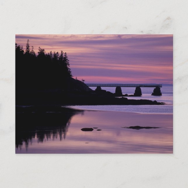 Carte Postale Amérique du Nord, US, ME, Isle Au Haut. Canard (Devant)