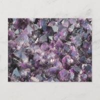 Carte postale Amethyst