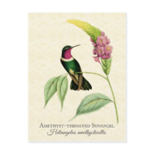 Améthyste Throsé Oiseau de mer Art