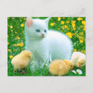 Carte Postale Amical Loyal Absolument Keen