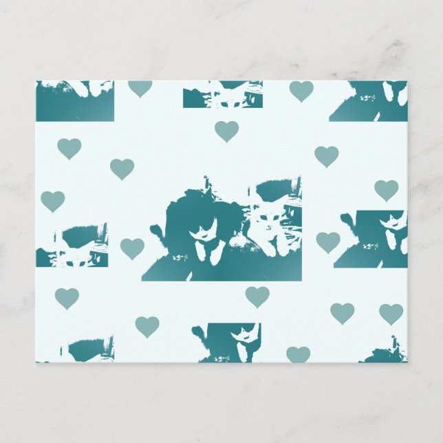 Carte Postale Amigos Felinos. (Devant)