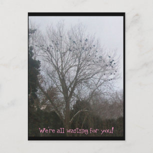 Carte Postale amis cordes