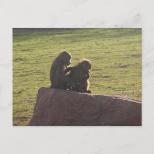 Carte Postale Amis financiers