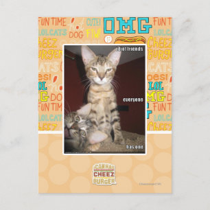 Carte Postale Amis Idiot