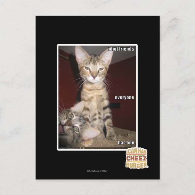 Carte Postale Amis Idiot (Devant)