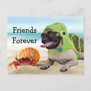 Carte Postale Amis pour toujours : Crabe + Carlin de tortue