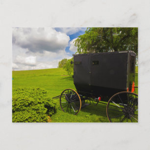 Carte Postale Amish Buggy à Hillside Farm