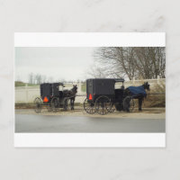 Amish Buggy "Parking Lot"