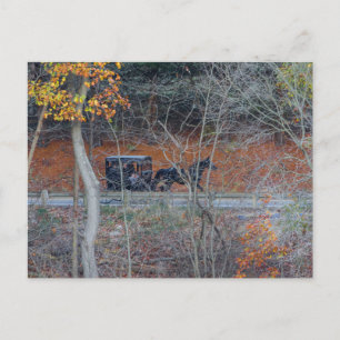 Carte Postale Amish Buggy sur une route rurale en automne, Ohio