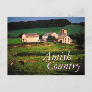 Carte postale Amish Country