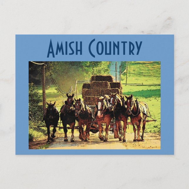 Carte postale Amish Country - Customisé (Devant)