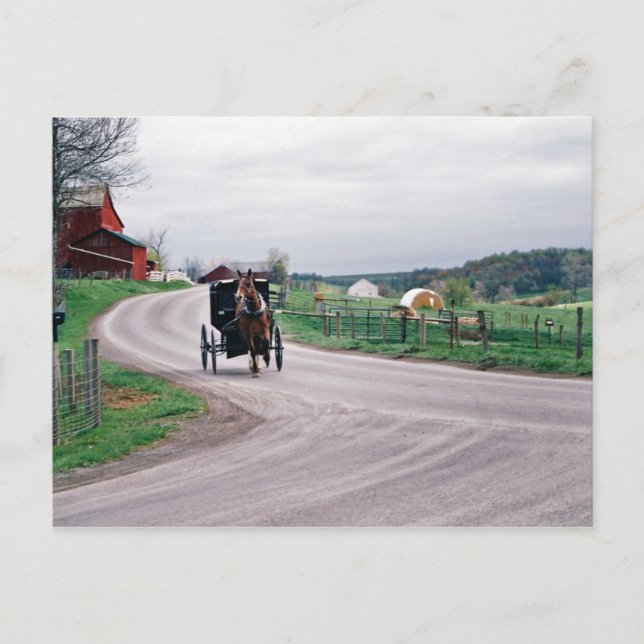 Carte Postale Amish Country Road (Devant)