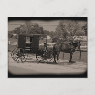 Carte Postale Amish Country Sugarcreek, Ohio