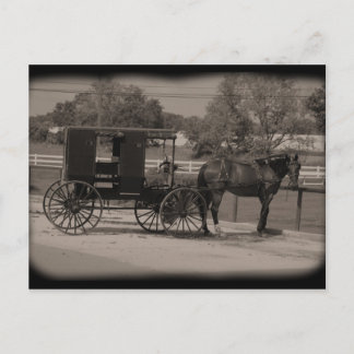 Carte Postale Amish Country Sugarcreek, Ohio