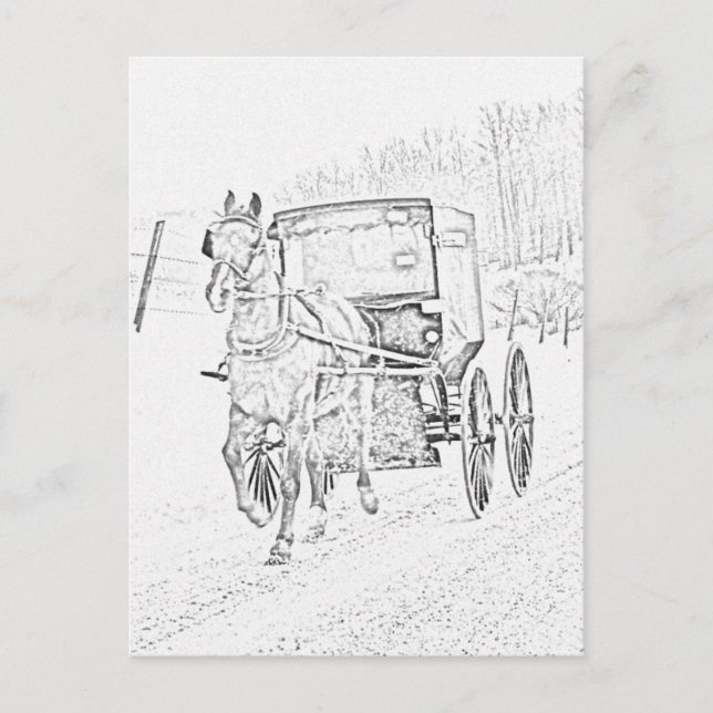 Carte Postale Amish Sketch-Horse et Buggy-Postcard (Devant)
