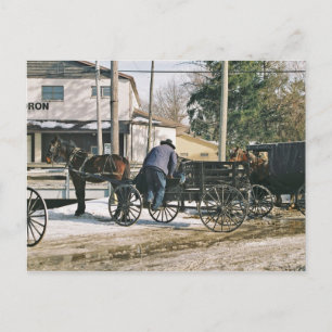 Carte Postale Amishman Parking Buggy