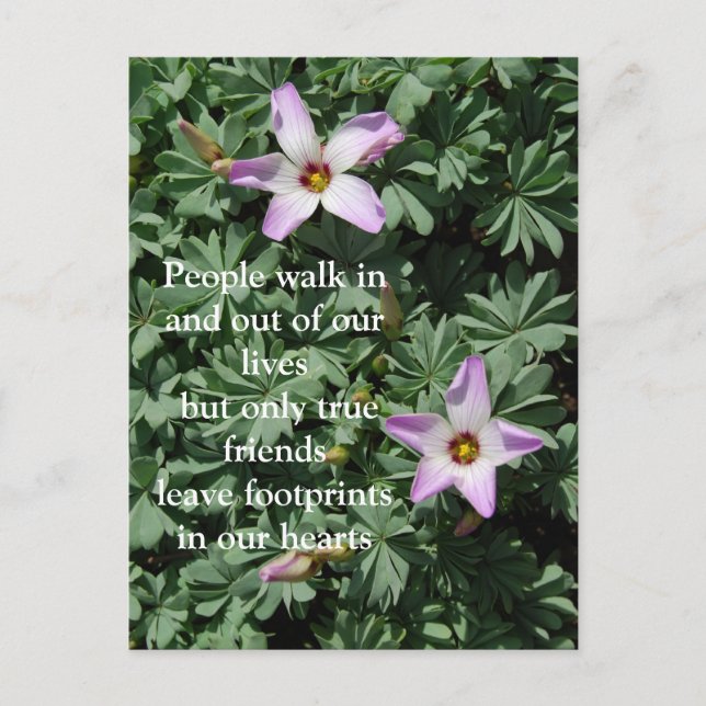 Carte Postale Amitié - Fleurs violettes (Devant)