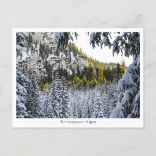Carte Postale Ammergauer Alpen