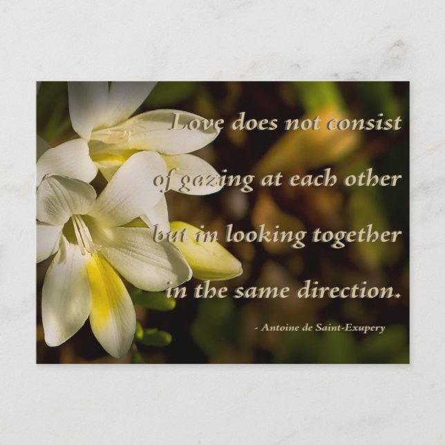 Carte Postale Amour ... (Devant)