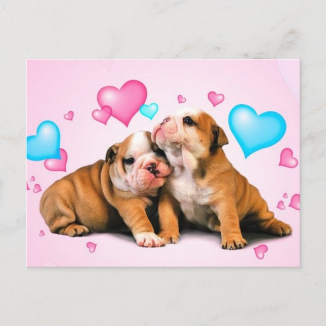 Carte Postale Amour animal (Devant)