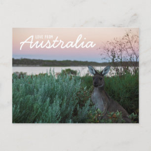Carte Postale Amour d'Australie Coucher de soleil kangourou lac 