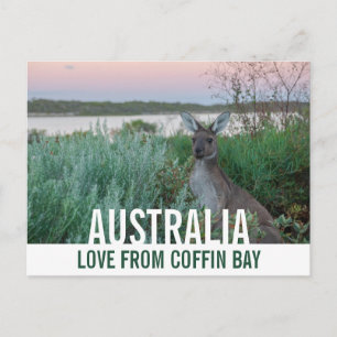 Carte Postale Amour d'Australie Kangourou Coucher de soleil rose