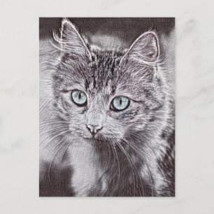 Carte Postale Amour de chaton Mignon chat avec des yeux bleus lu