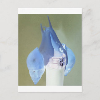 Carte Postale Amour des escargots