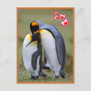 Carte Postale Amour des pingouins