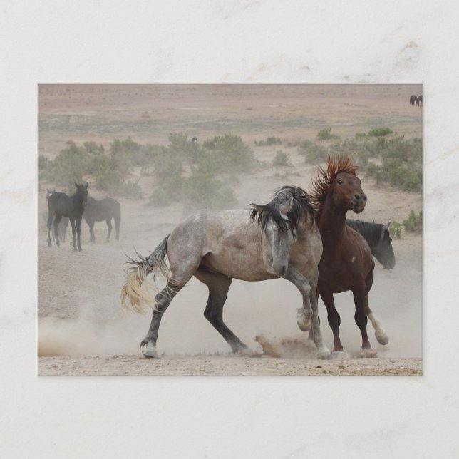 Carte Postale Amour dur (Devant)