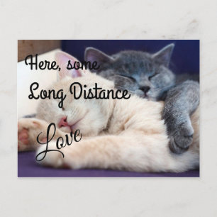 Carte Postale Amour longue distance