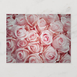 Carte Postale Amour sur roses rose clair arrière - plan par guér