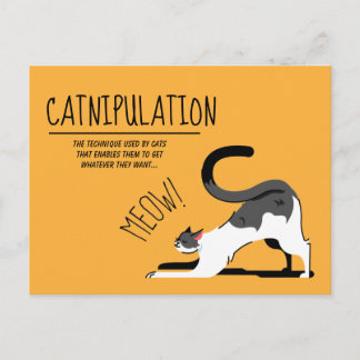 Carte Postale Amoureux de les chats de catapulation Meow Design