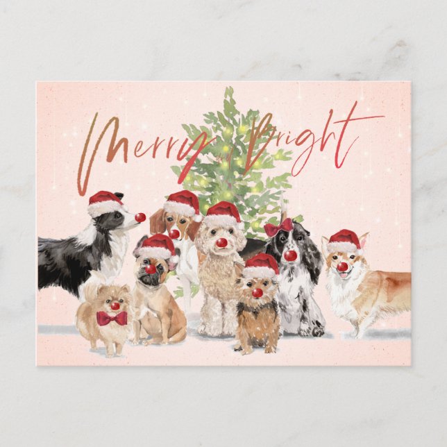 Carte Postale Amoureux de les chiens de Noël Joyeux Père Noël (Devant)