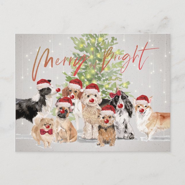 Carte Postale Amoureux de les chiens de Noël Joyeux Père Noël br (Devant)